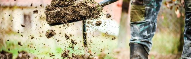 Kopao sam svoju baštu, a ono što sam pronašao me je ŠOKIRALO