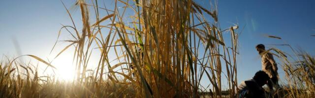 Objavljeni najnoviji podaci: Evo šta pokazuje izveštaj sa Produktne berze