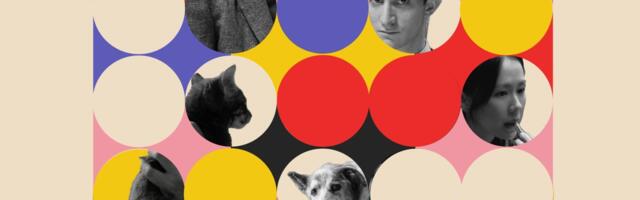 Program “Pogled iza ogledala” na Beograd Film Festivalu