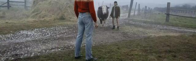 Levi’s 501: Najpoznatije farmerke na svetu slave 150. rođendan