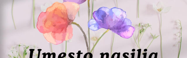 Odbor za ljudska prava: Smanji rizik – prijavi oružje u porodičnom nasilju