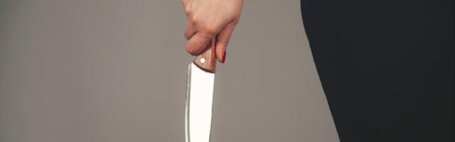 Krvavi pir u Obrenovcu: Žena izbola muža (29)