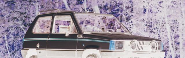 Panda je veličine Denija Devita, ali je snažna kao Arnold Švarceneger: Ovaj mali Fijat se vere po planinama kao divokoza, a ima 40 godina