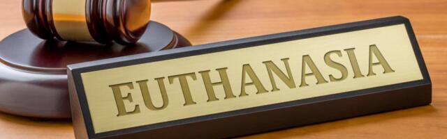 SLOVENIJA ODLUČILA O EUTANAZIJI: Građani na referendumu odbacili zakon, Ostvaren i uslov da protiv bude najmanje petina upisanih u birački spisak