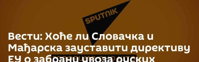 Вести: Хоће ли Словачка и Мађарска зауставити директиву ЕУ о забрани увоза руских енергената /видео/