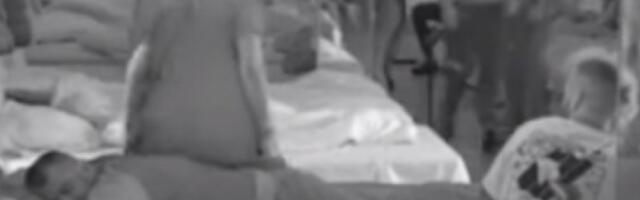 SMRDIŠ, KRAVO! Jelena Golubović i Miljan Vračević napravili HAOS, urali jedno na drugo, ona sela na njega pa nastao KARAMBOL: Idi u SVINJAC! (VIDEO)