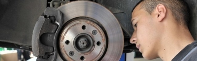 Ovo je tajna dugotrajnosti motora vašeg ljubimca - ne budite lenji!