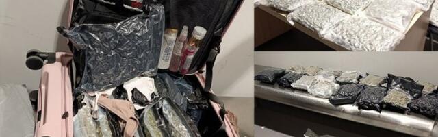 DRAMA NA AERODROMU "NIKOLA TESLA" U BEOGRADU! Policija uhapsila ženu samo nekoliko minuta pre poletanja aviona! EVO ŠTA JE RAZLOG!