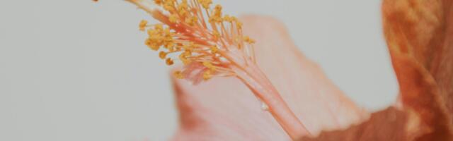 Dnevni horoskop za 17. oktobar 2025: Ribe, Neptun vas čini posebno osećajnim, pripazite se!