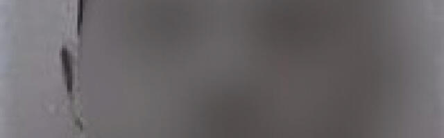 MAJKU TUKAO DO SMRTI, A PRVA ŽENA ZBOG NJEGA SKOČILA SA ZGRADE! Osumnjičeni za ubistvo Julije N. (53) u Leskovcu zlostavljao i porodicu