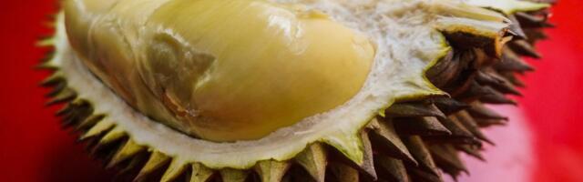 Hrana koja je zabranjena širom sveta