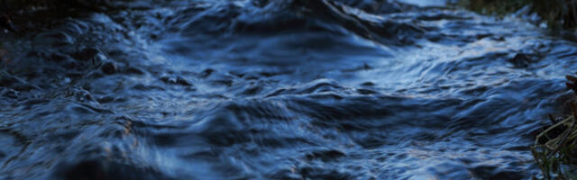 Zagrebačka policija se oglasila o ljudskim kostima pronađenim u Savi