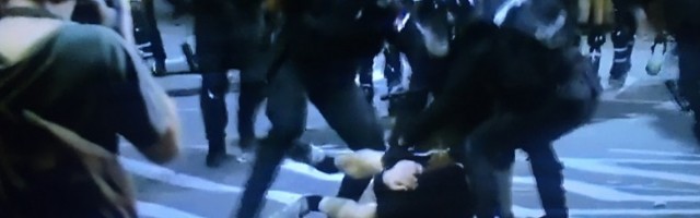 Peticija protiv policijske brutalnosti, dostavljanje Rebiću, peformans u Pionirskom parku