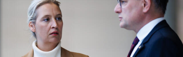 Руске везе немачког АфД-а