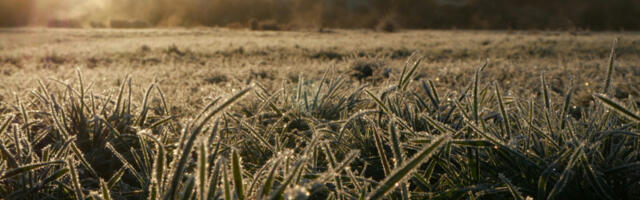 Ujutru mraz i magla, tokom dana uglavnom sunčano: Najviša temperatura do 7 stepeni, ali uz jak vetar