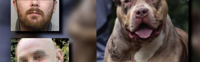 PITBUL OD 50 KILOGRAMA KASAPIO ČOVEKA 45 MINUTA, UBILI GA SA 10 METAKA: Horor napad konačno dobija sudski epilog! "Imao je KATASTROFALNE povrede lica..." (FOTO)