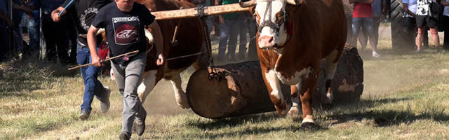 Sabor tradicije i ove godine u Jablanici (VIDEO)