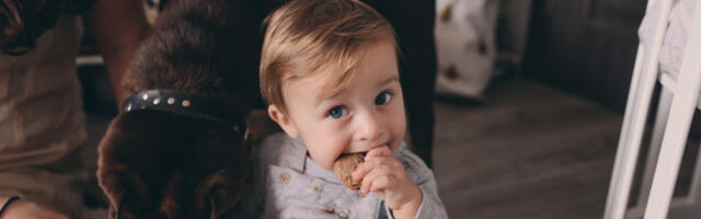 RODITELJI SU POKUŠAVALI DA NAUČE BEBU DA KAŽE MAMA: Usledio je šok kad se umesto deteta začuo pas! (VIDEO)