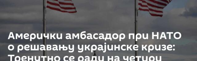 Амерички амбасадор при НАТО о решавању украјинске кризе: Тренутно се ради на четири документа