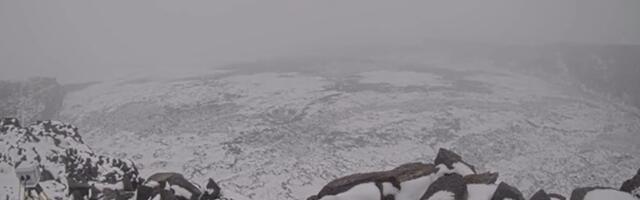 Sneg pao na Havajima: NOVA NORMALNOST?  (VIDEO)