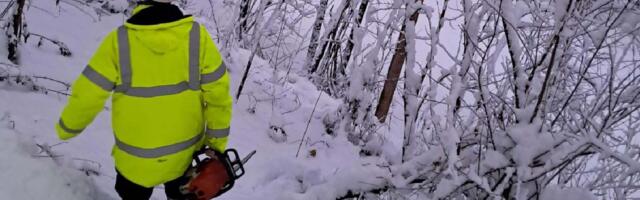 Država za nestanak struje optužila građane, ali izveštaj EDS-a govori drugačije