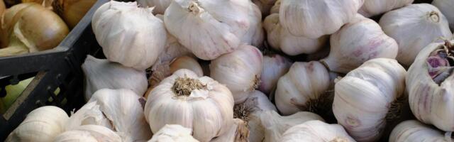 Za ljubetelje belog luka ovo će biti pun pogodak: Spremite kremast umak kojem je teško odoleti