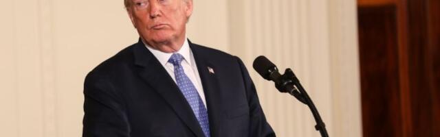 Tramp: "Svet je kazino!" - a porodica zarađuje na klađenju?!