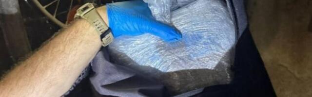 SKANDAL! Poznata glumica optužena za unošenje 320 KILOGRAMA metamfetamina u zemlju!