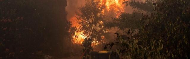 Hiljade ljudi evakuisane iz Francuske i blizu Madrida zbog širenja požara