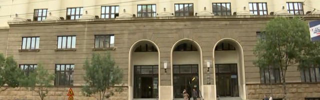 Apelacioni sud povećao kaznu sinu Željka Mitrovića sa 11 meseci na godinu dana