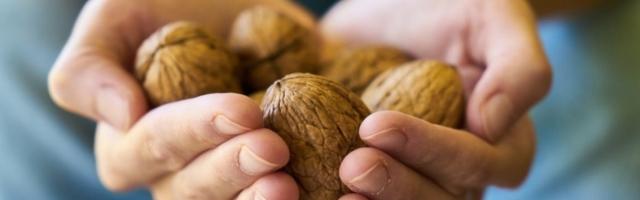 (RECEPT) Tinktura od oraha za jačanje kose: Zaustavite opadanje i pojačajte volumen