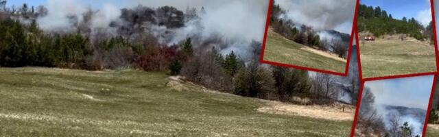 Požar na otvorenom u Vinči! Gori nisko rastinje (VIDEO)