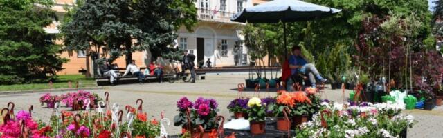 PROLEĆNI SAJAM CVEĆA: Centar Kikinde u subotu postaje šarena bašta