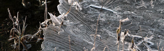 RHMZ izdao hidrološko upozorenje: Na Dunavu i još dve reke uočeni ledohod i ledostaj