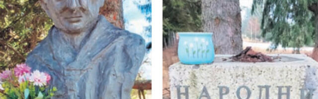 Ко је украо бисту Бошка Бухе