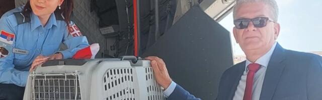 Preživeo otmicu i švercere, a sada vojnim avionom stigao u Srbiju: Priča srpskog orla krtaša je neverovatna (FOTO)
