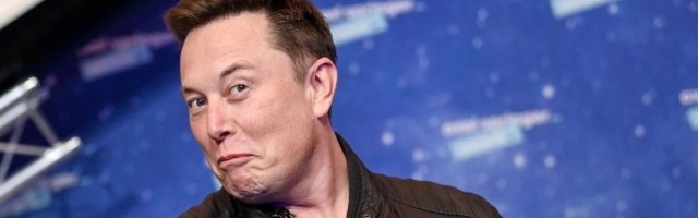 Veselo majmunče Elona Maska igra komjutersku igru mislima