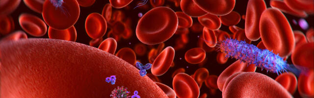 Coronavirus: Croatia logs 4,139 new cases and 50 deaths