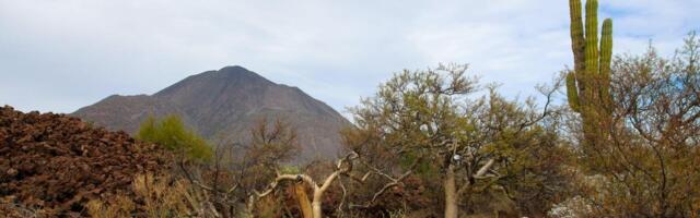 Ovo je misteriozno mesto usred ničega u kojem se gubi radijski signal, a kompasi se kvare! Razlog je jeziv