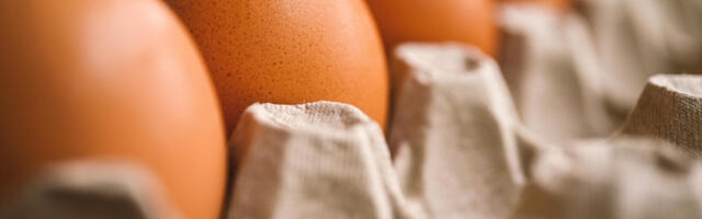 Jedan od najboljih segmenata domaćeg stočarstva: U Srbiji se godišnje proizvede 1,57 milijardi jaja