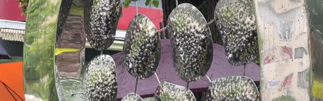 Данас у Бањалуци обележавање годишњице смрти 12 беба