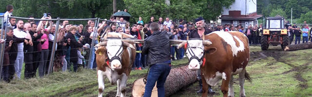 Seoski višeboj i ove godine u Jablanici (VIDEO)