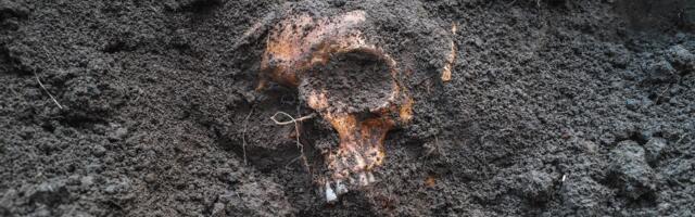 Drevni zubi su prava arhiva informacija o životima ljudi gvozdenog doba