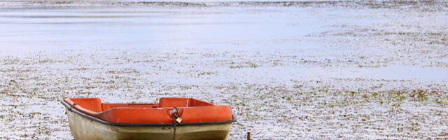 Pronađeno beživotno telo muškarca u Vlasini
