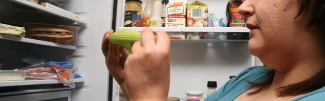 IDEALNO GNEZDO ZA BAKTERIJE I GADOSTI! Ovo je najprljaviji deo frižidera, niko živ ga ne čisti - niste imali pojma!