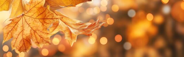 Kojim znacima septembar neće biti najsrećniji mesec u godini?