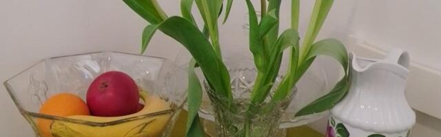 Danas je Uskrs za hrišćane koji pripadaju crkvama zapadnog obreda