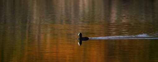 Tokom dana toplo, uveče ponegde kiša