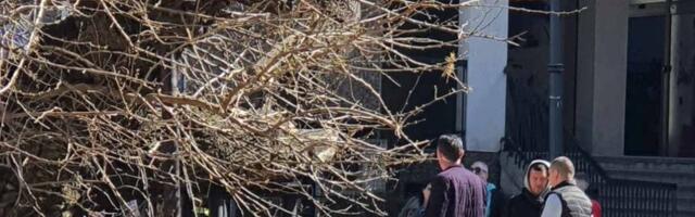 Incident u Smederevu! Zapaljen Karađorđev dud, vatrogasci sprečili teže posledice