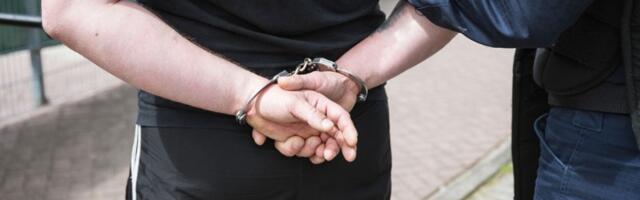 UHAPŠENI osumnjičeni za podmetanje požara i bacanje bombi na lokale